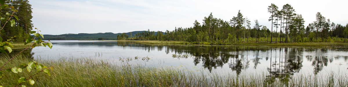 Mora jordägare