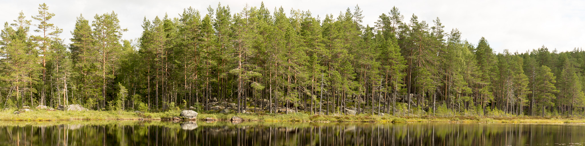 Mora jordägare